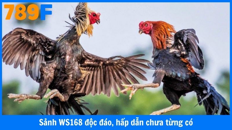 Sảnh WS168 độc đáo, hấp dẫn chưa từng có